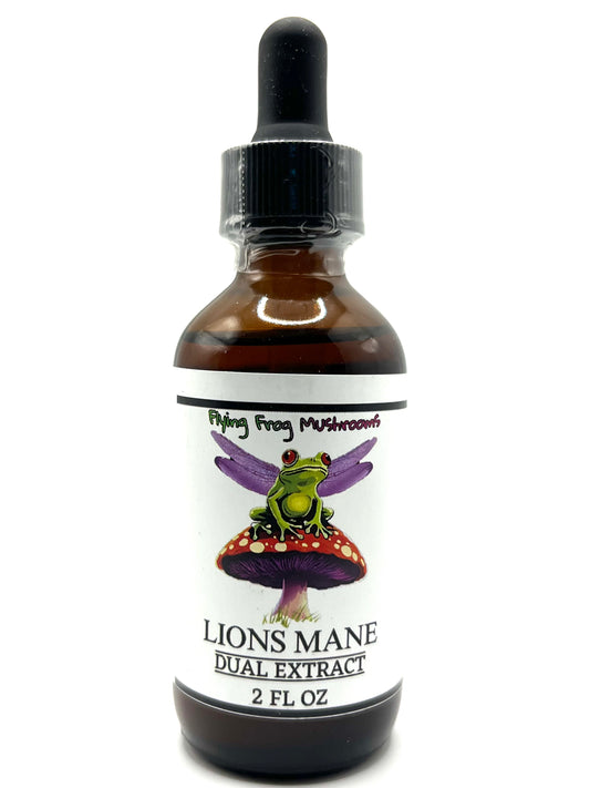 Lions Mane Dual Extract